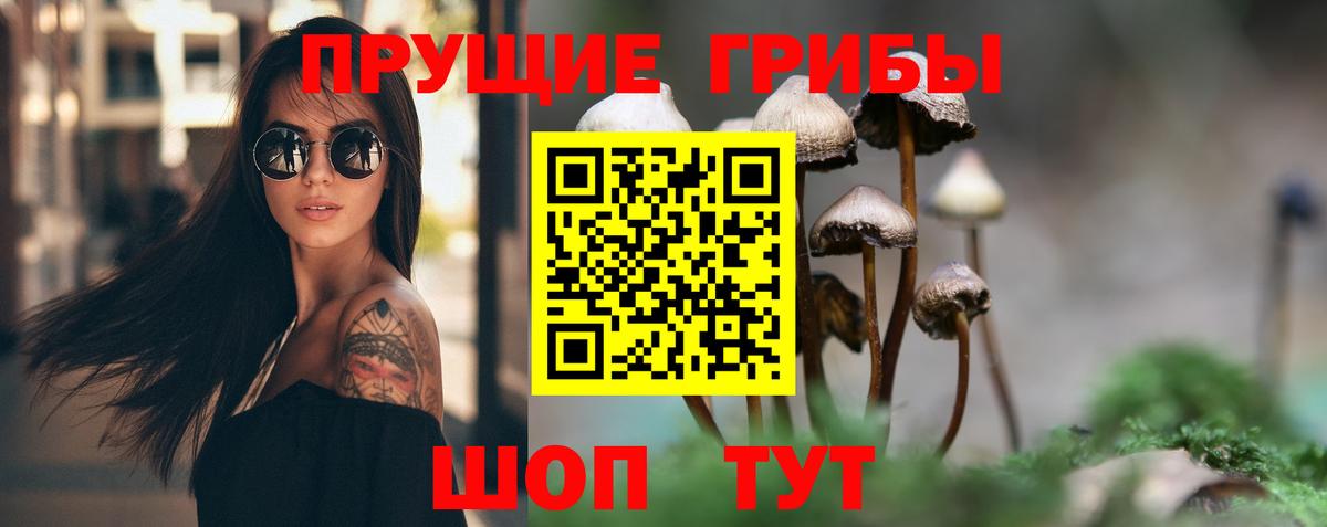 Псилоцибиновые грибы мицелий  Вход с VPN  Лесосибирск 